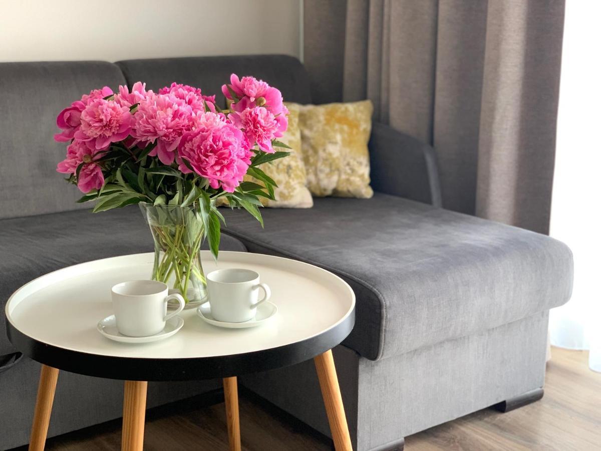 Apartament Livia Sianozety Dış mekan fotoğraf